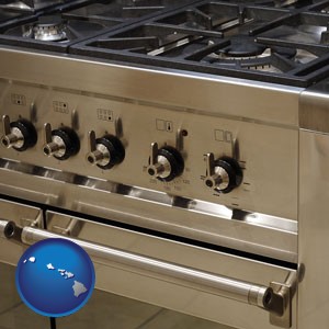 a stainless steel gas range and oven - with Hawaii icon